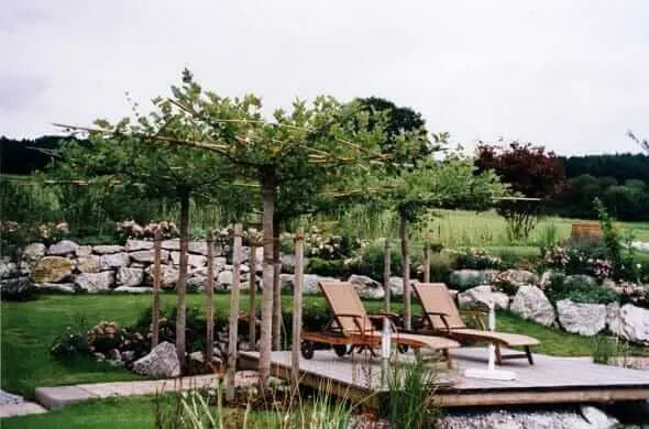 Schwimmteich mit Holzterrasse, Liegen und Natursteinmauer